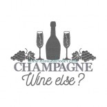 Champagne wine else